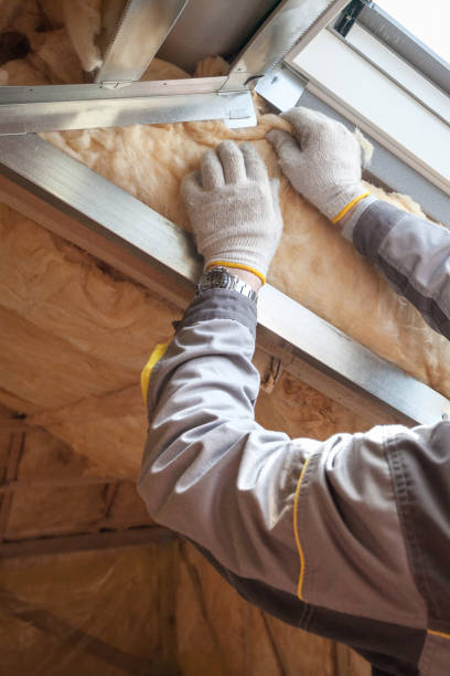Best Blown-in Insulation in New Hope, MS