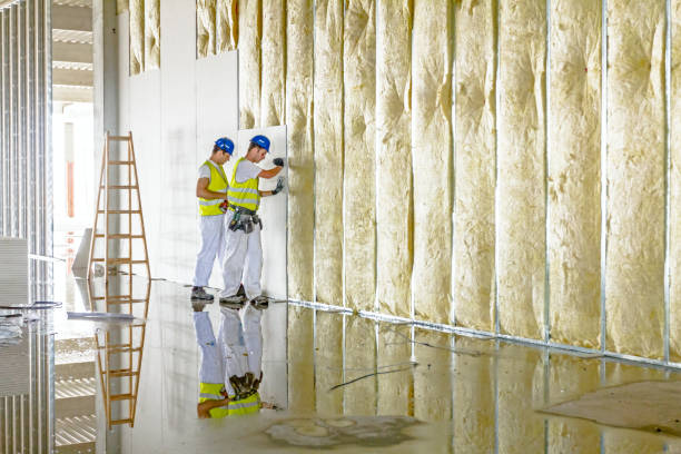 Best Eco-Friendly Insulation in New Hope, MS